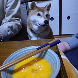 20151231-sukiyaki1.jpg
